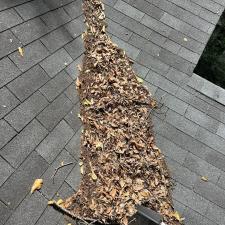 Roof-Debris-Removal-and-Gutter-Cleaning-in-Asheville-NC 2